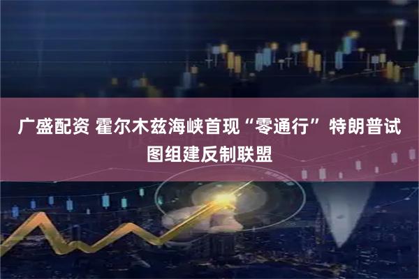 广盛配资 霍尔木兹海峡首现“零通行” 特朗普试图组建反制联盟