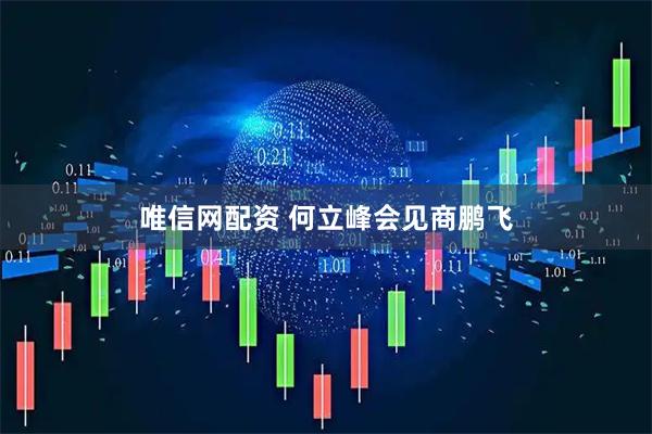 唯信网配资 何立峰会见商鹏飞