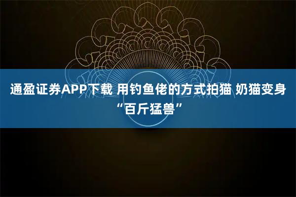 通盈证券APP下载 用钓鱼佬的方式拍猫 奶猫变身“百斤猛兽”