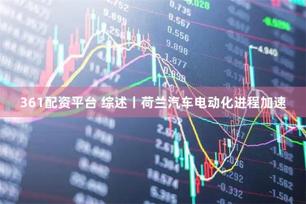 361配资平台 综述丨荷兰汽车电动化进程加速