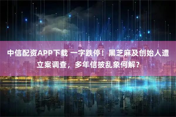 中信配资APP下载 一字跌停！黑芝麻及创始人遭立案调查，多年信披乱象何解？