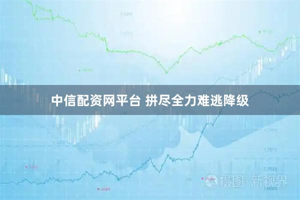 中信配资网平台 拼尽全力难逃降级
